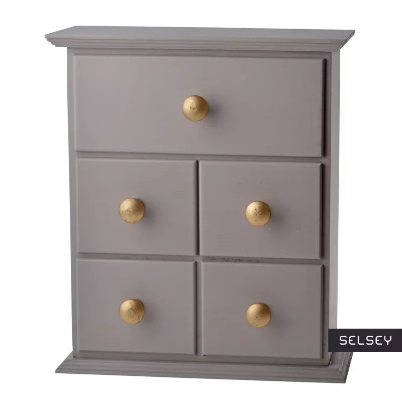 Liliput 5 Drawer Desktop Organizer Selsey